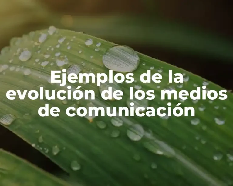 Ejemplos de la evolución de los medios de comunicación