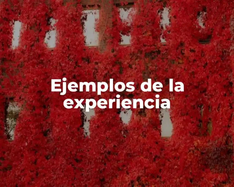 Ejemplos de la experiencia