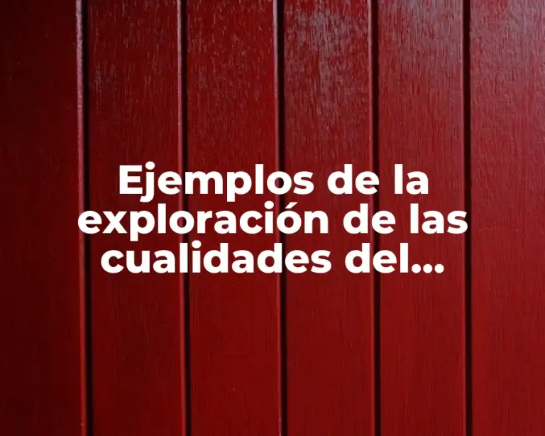 Ejemplos de la exploración de las cualidades del movimiento