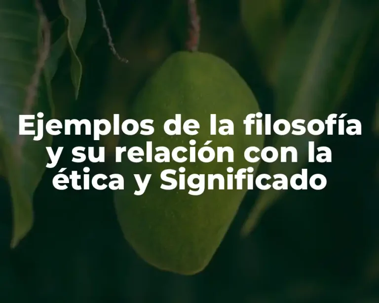 Ejemplos de la filosofía y su relación con la ética y Significado