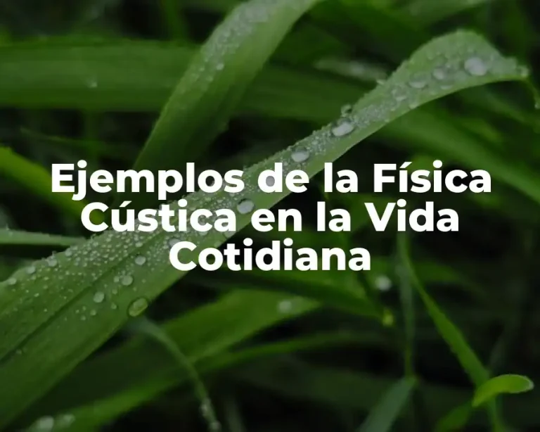 Ejemplos de la Física Cústica en la Vida Cotidiana