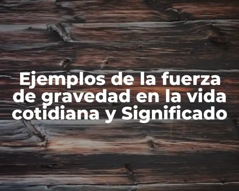 Ejemplos de la fuerza de gravedad en la vida cotidiana y Significado