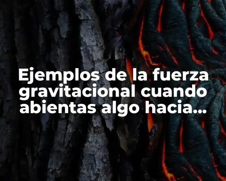 Ejemplos de la fuerza gravitacional cuando abientas algo hacia arriba