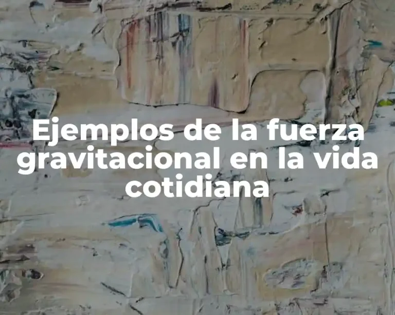 Ejemplos de la fuerza gravitacional en la vida cotidiana