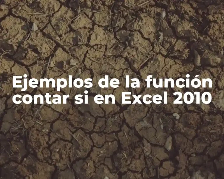 Ejemplos de la función contar si en Excel 2010