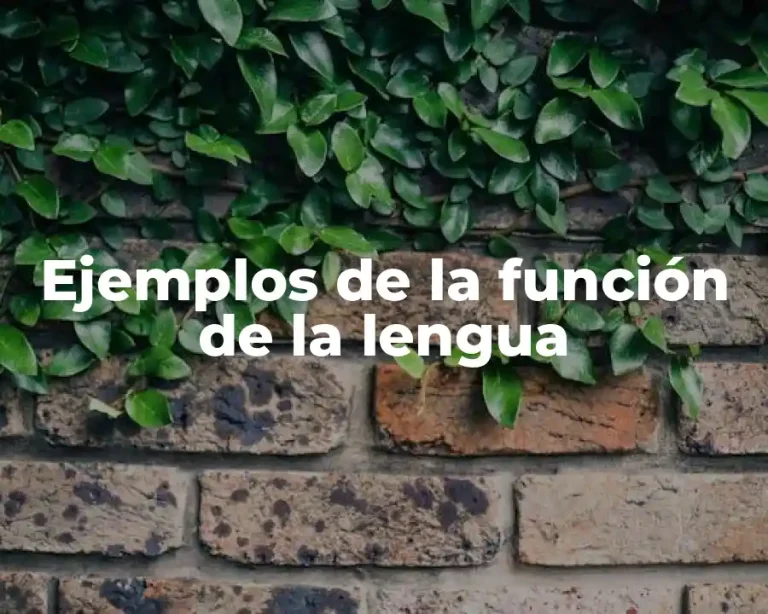 Ejemplos de la función de la lengua