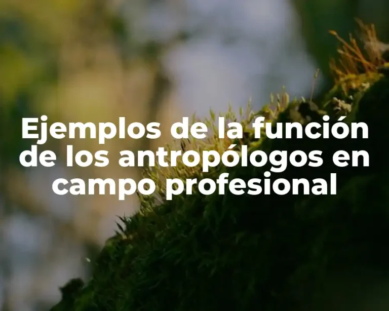 Ejemplos de la función de los antropólogos en campo profesional