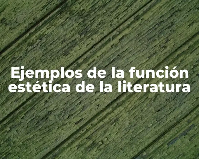 Ejemplos de la función estética de la literatura