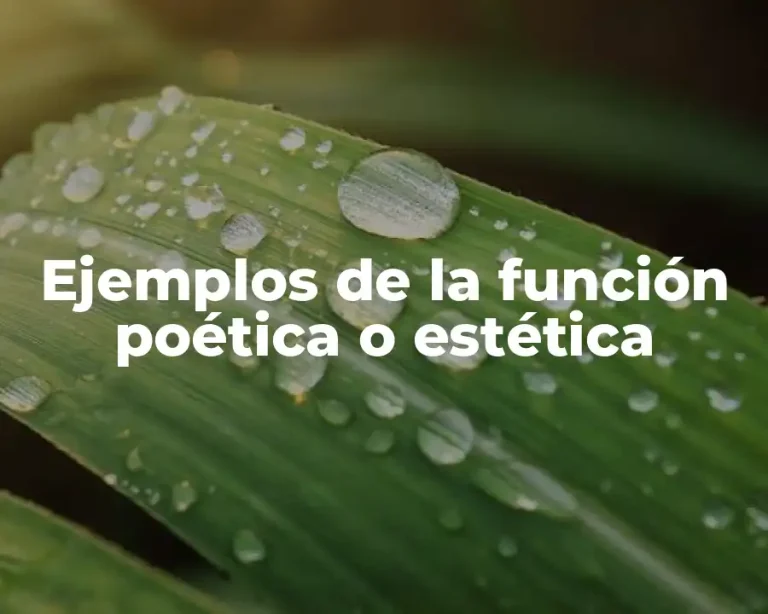 Ejemplos de la función poética o estética