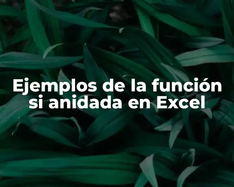 Ejemplos de la función si anidada en Excel