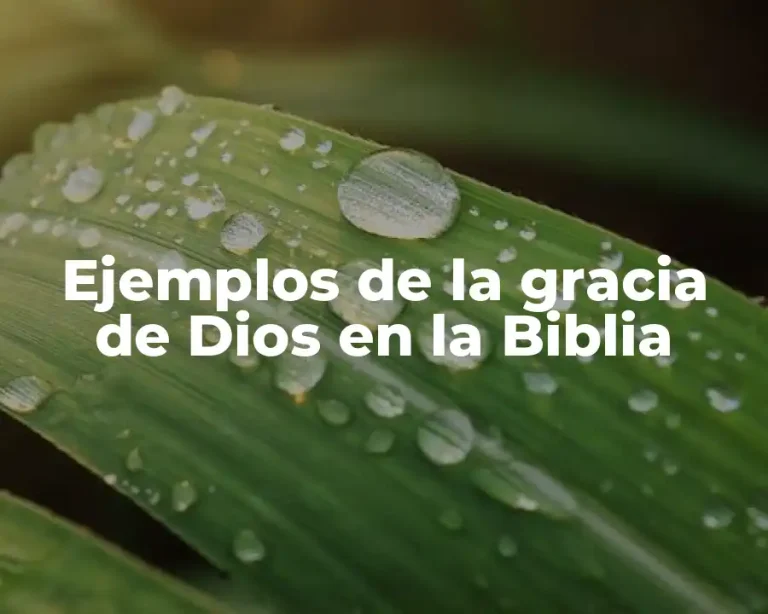 Ejemplos de la gracia de Dios en la Biblia