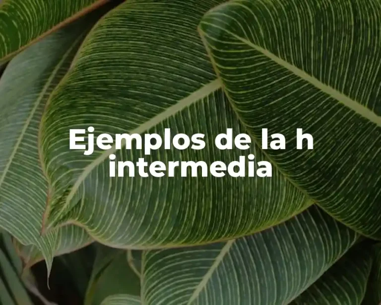 Ejemplos de la h intermedia