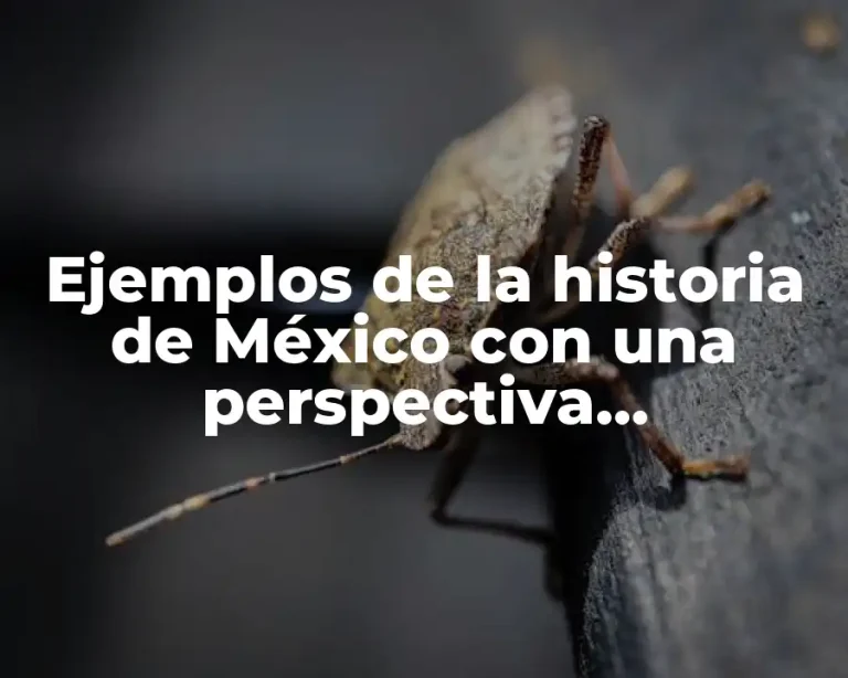 Ejemplos de la historia de México con una perspectiva eurocentrica