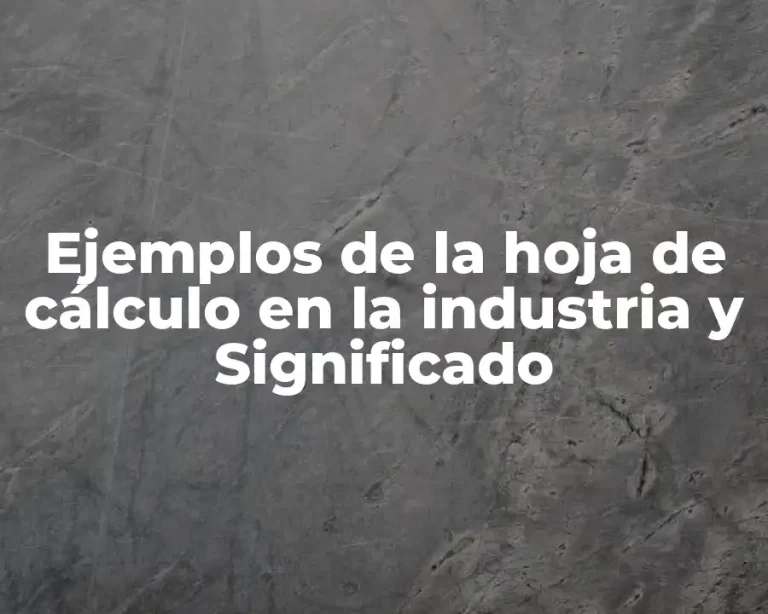 Ejemplos de la hoja de cálculo en la industria y Significado