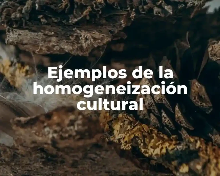 Ejemplos de la homogeneización cultural