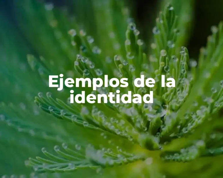 Ejemplos de la identidad