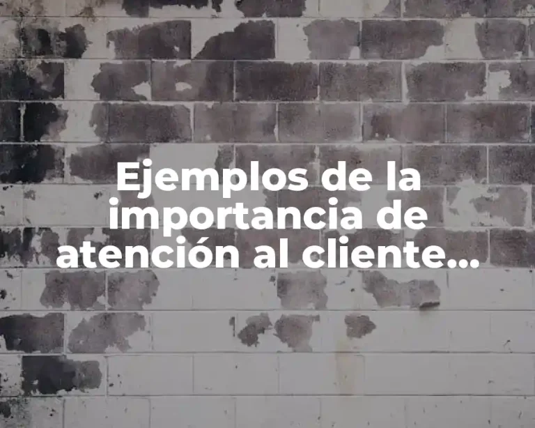 Ejemplos de la importancia de atención al cliente Bimbo