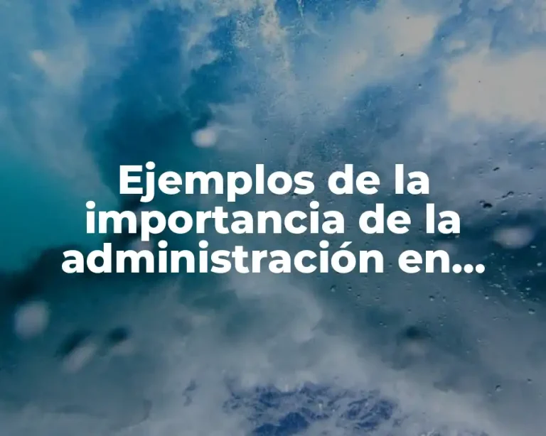 Ejemplos de la importancia de la administración en casos reales y Significado