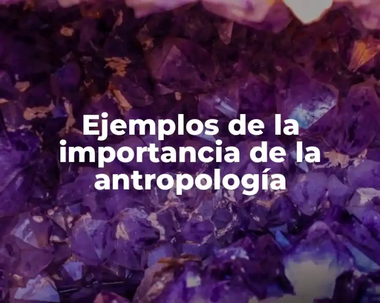 Ejemplos de la importancia de la antropología