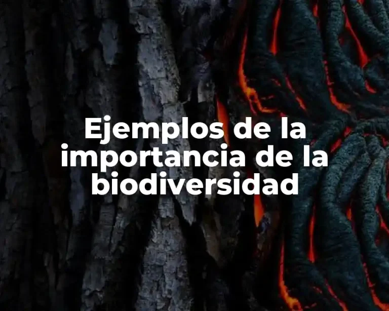 Ejemplos de la importancia de la biodiversidad