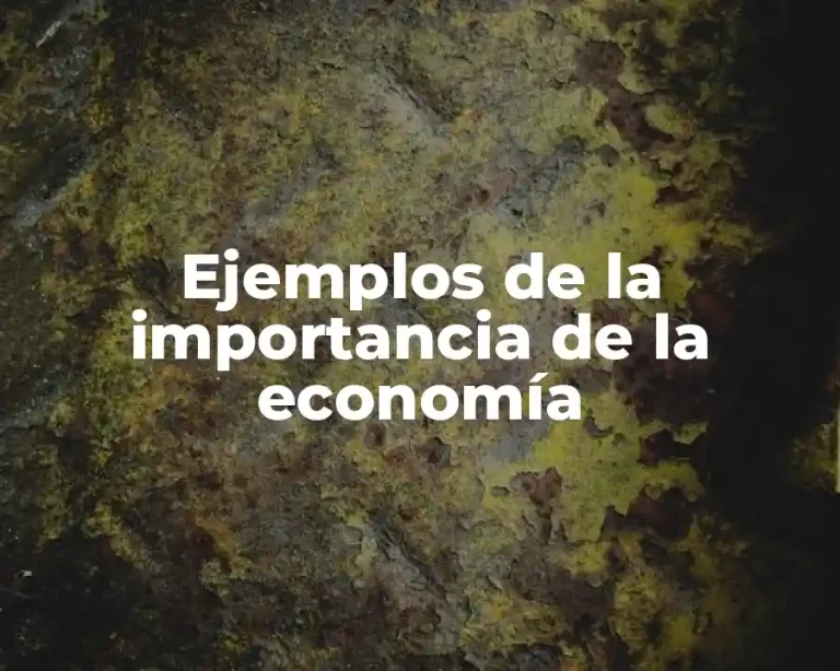 Ejemplos de la importancia de la economía