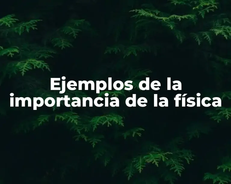 Ejemplos de la importancia de la física