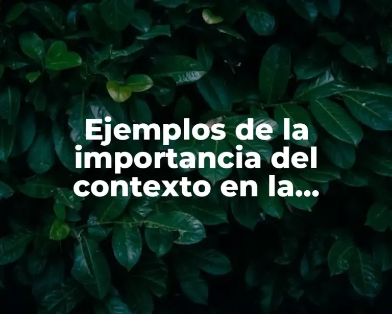 Ejemplos de la importancia del contexto en la argumentación