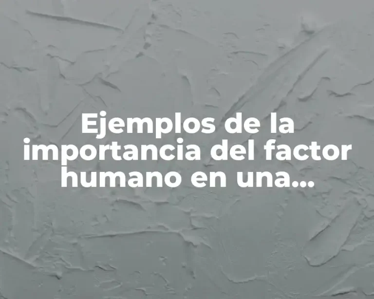 Ejemplos de la importancia del factor humano en una empresa