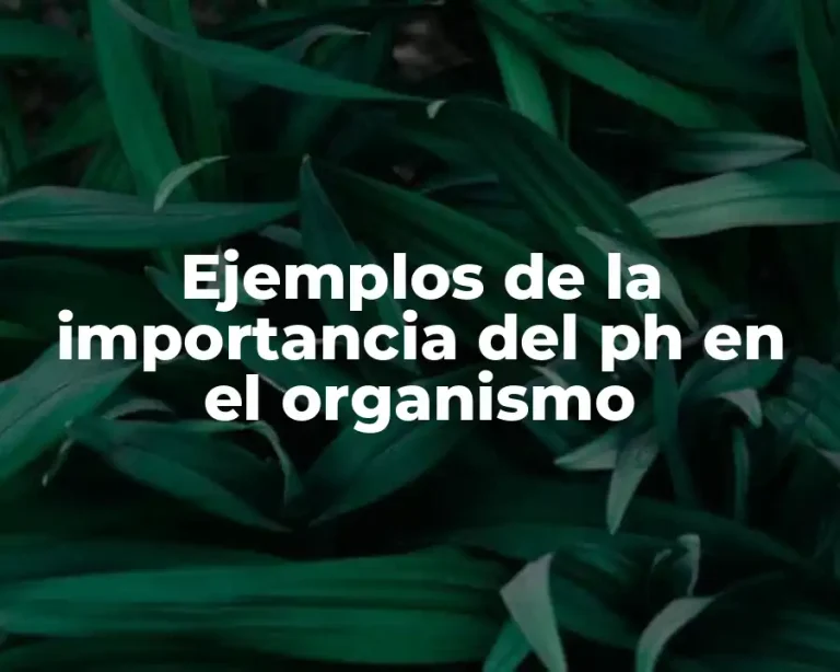 Ejemplos de la importancia del ph en el organismo