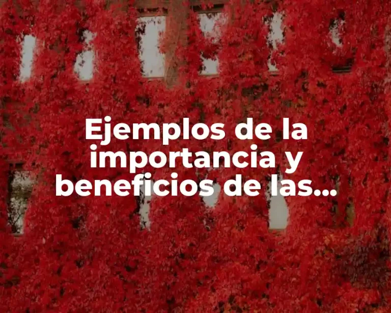 Ejemplos de la importancia y beneficios de las decisiones estrategicas