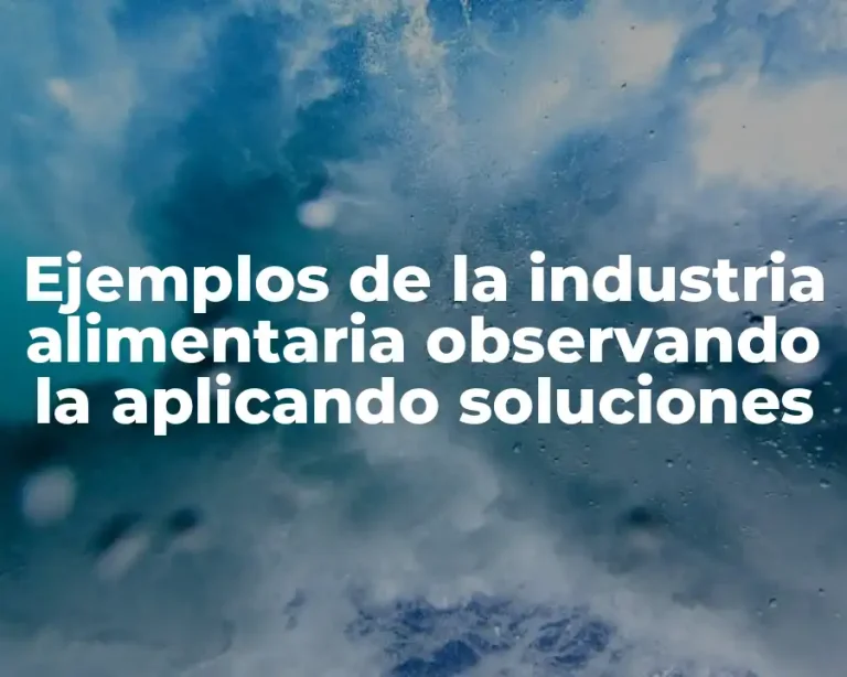 Ejemplos de la industria alimentaria observando la aplicando soluciones