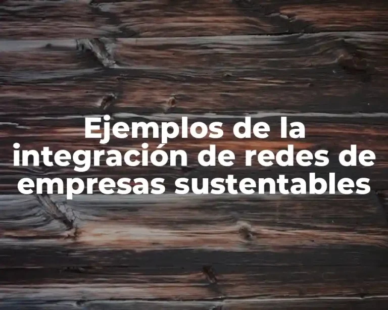 Ejemplos de la integración de redes de empresas sustentables