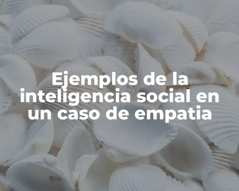 Ejemplos de la inteligencia social en un caso de empatia