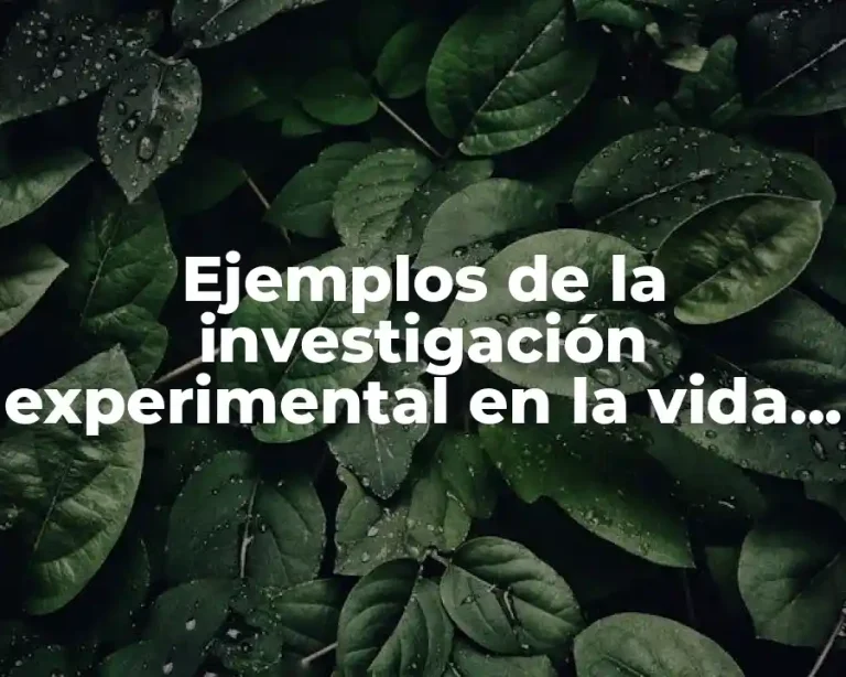 Ejemplos de la investigación experimental en la vida cotidiana