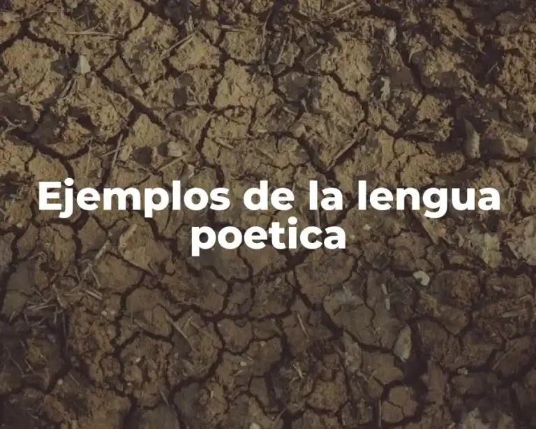 Ejemplos de la lengua poetica
