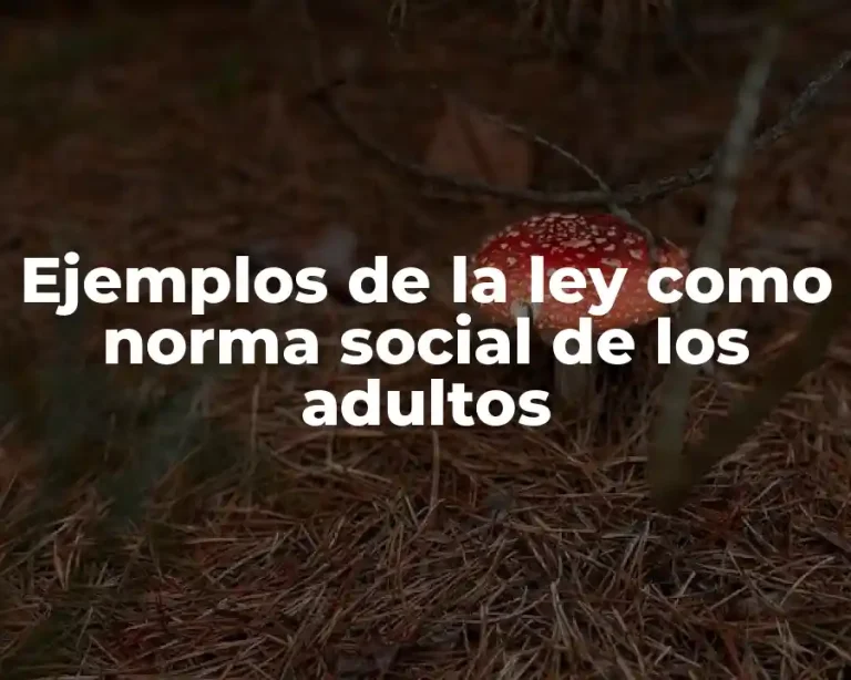 Ejemplos de la ley como norma social de los adultos