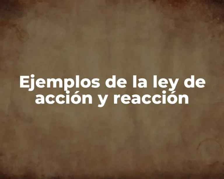 Ejemplos de la ley de acción y reacción