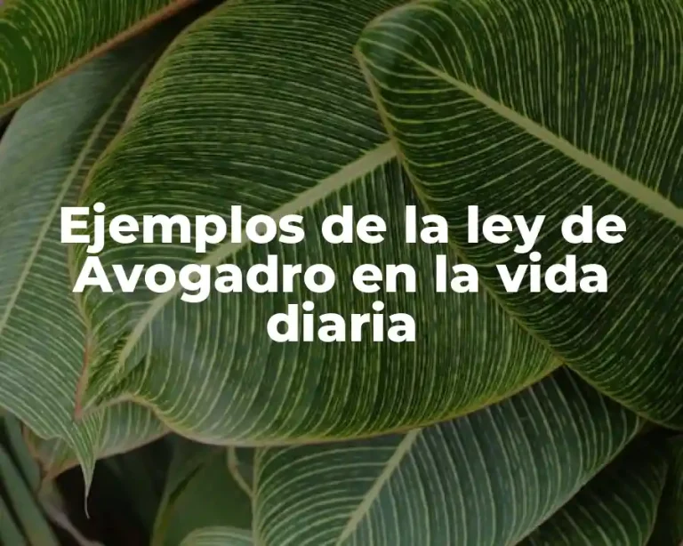 Ejemplos de la ley de Avogadro en la vida diaria
