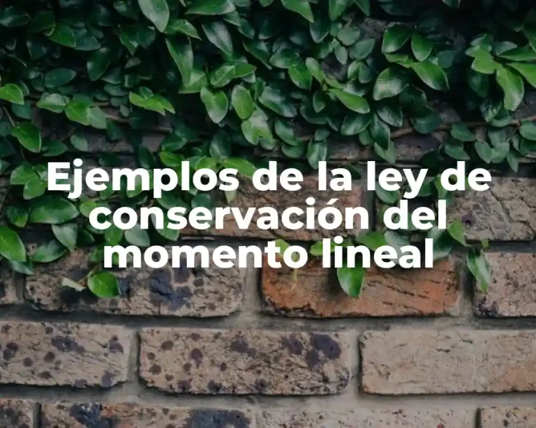 Ejemplos de la ley de conservación del momento lineal