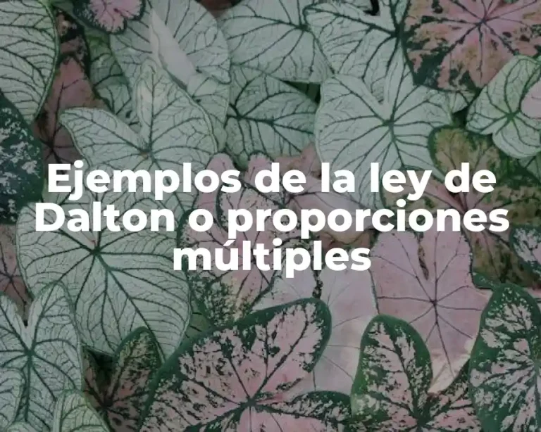 Ejemplos de la ley de Dalton o proporciones múltiples
