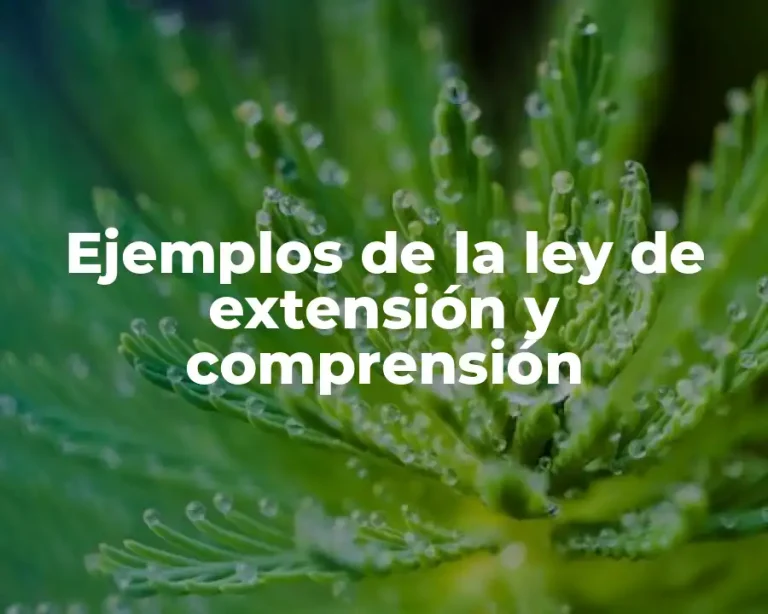 Ejemplos de la ley de extensión y comprensión
