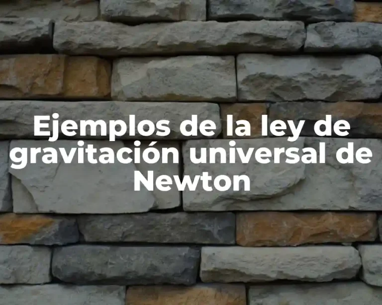 Ejemplos de la ley de gravitación universal de Newton