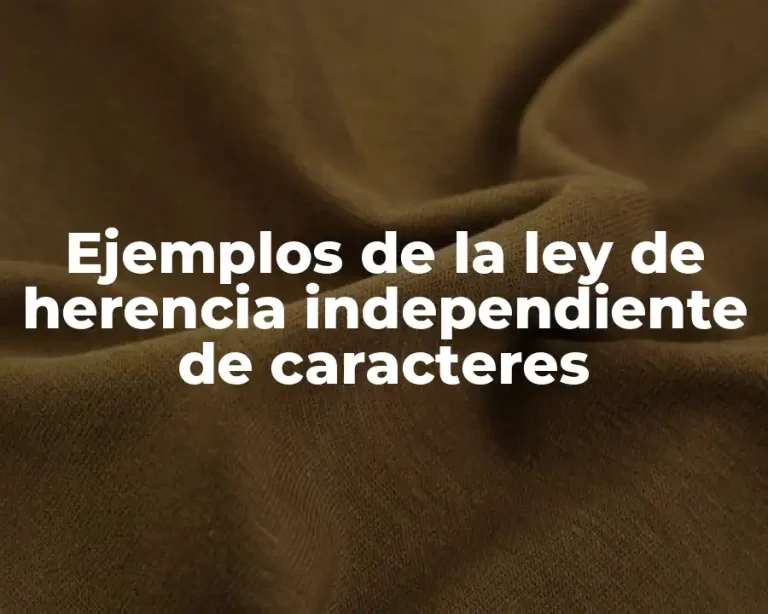 Ejemplos de la ley de herencia independiente de caracteres