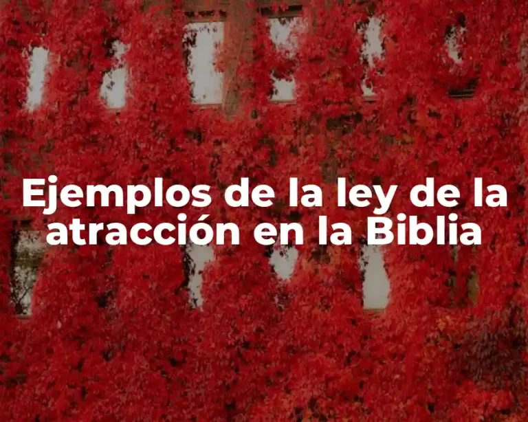 Ejemplos de la ley de la atracción en la Biblia