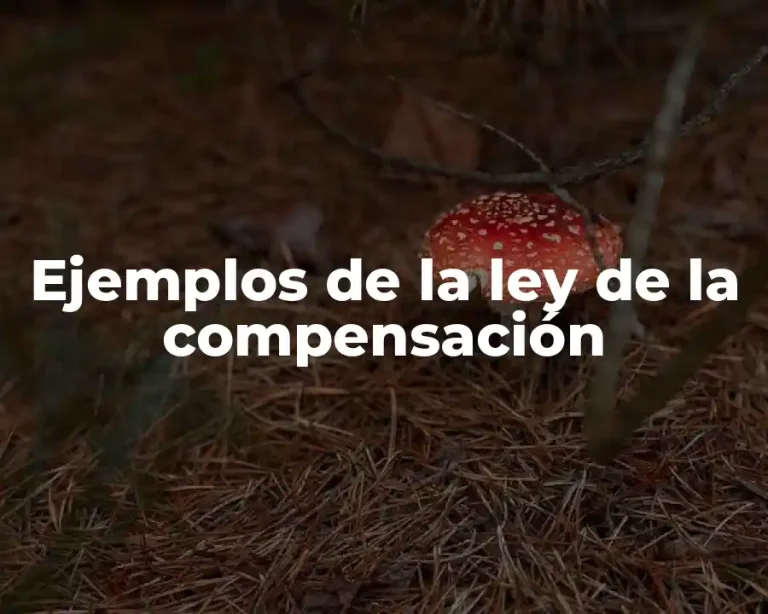 Ejemplos de la ley de la compensación