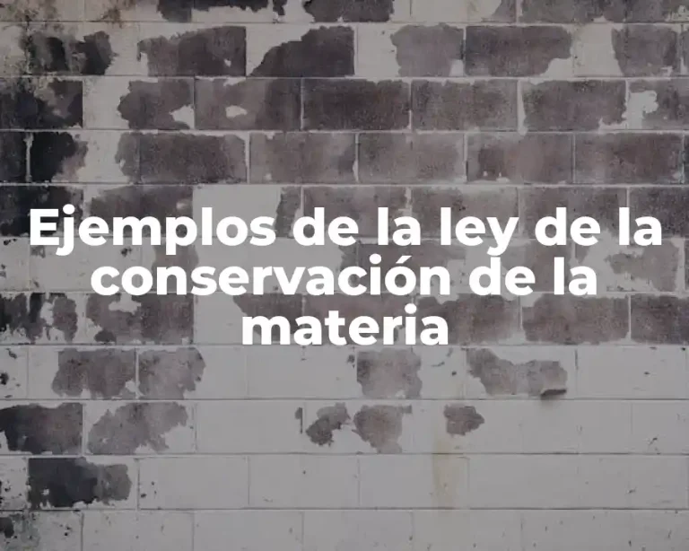 Ejemplos de la ley de la conservación de la materia