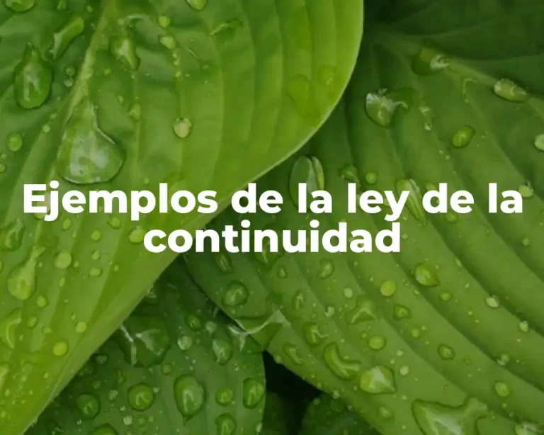 Ejemplos de la ley de la continuidad