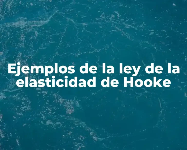 Ejemplos de la ley de la elasticidad de Hooke