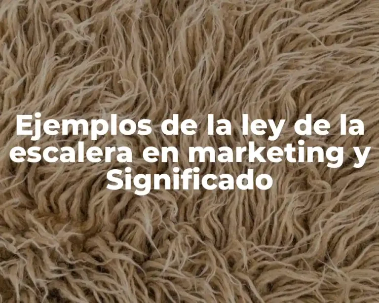 Ejemplos de la ley de la escalera en marketing y Significado