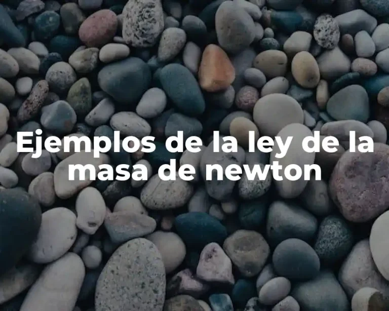 Ejemplos de la ley de la masa de newton